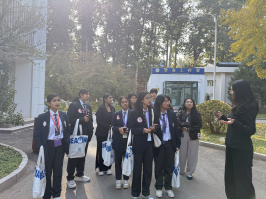 1761812843456181.png image.png