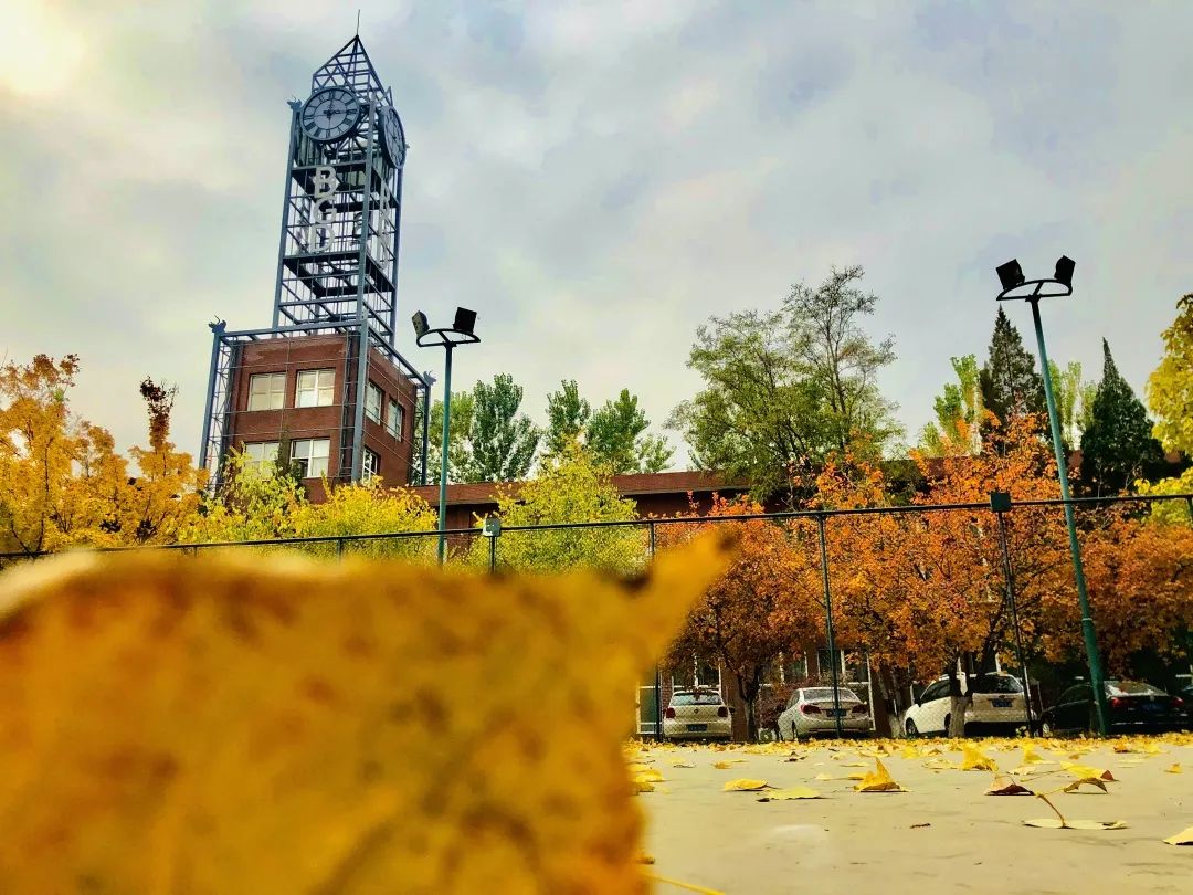 1596376914100732.jpg 1596376914100732.jpg