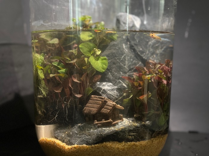 1760341044389448.jpg 图片11.jpg